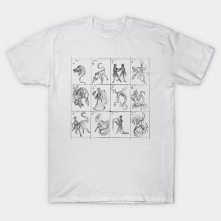 12 zodiac signs T-Shirt